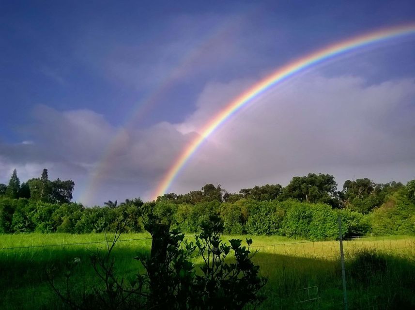 Maui: Private Guided Round-Trip Excursion to Hana - Highlights