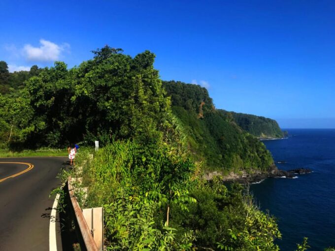 Maui: Private Halfway to Hana Tour - Why Choose This Tour