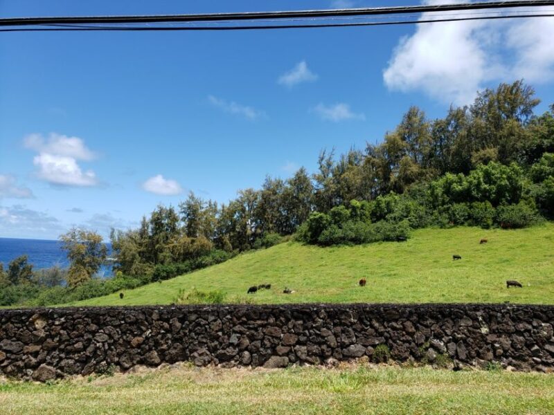 Maui : Private : Road to Hana Day Trip : Just For Your Group - Final Thoughts