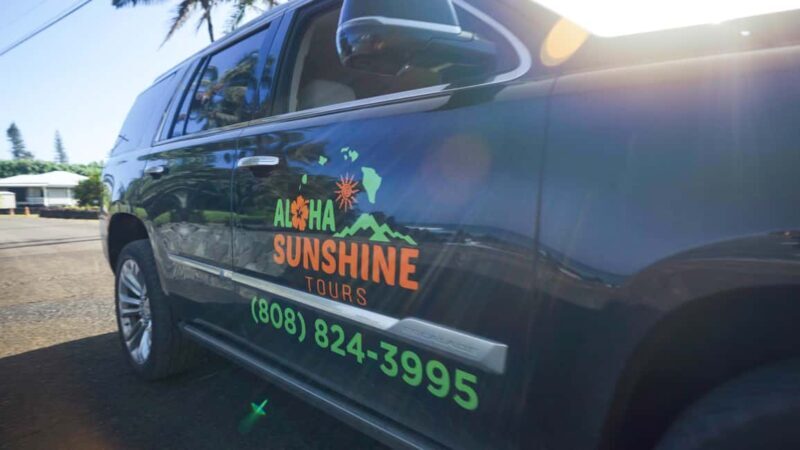 Maui: Private Road to Hana Rainforest and Waterfall Tour - The Value and Who It’s Perfect For