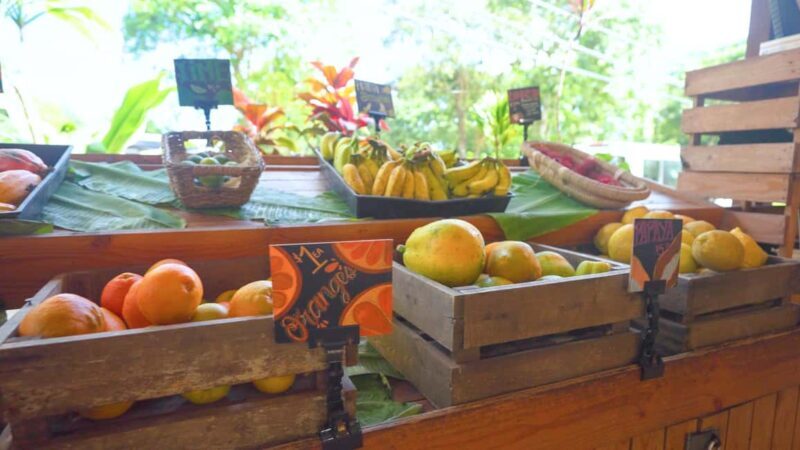 Maui: Private Road to Hana Rainforest and Waterfall Tour - Final Thoughts: Is This Tour Right for You?