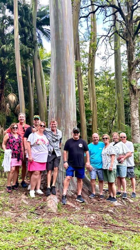 Maui: Rainforest Adventure to Hana with Photos - Exploring Maui’s Rainforest and Waterfalls