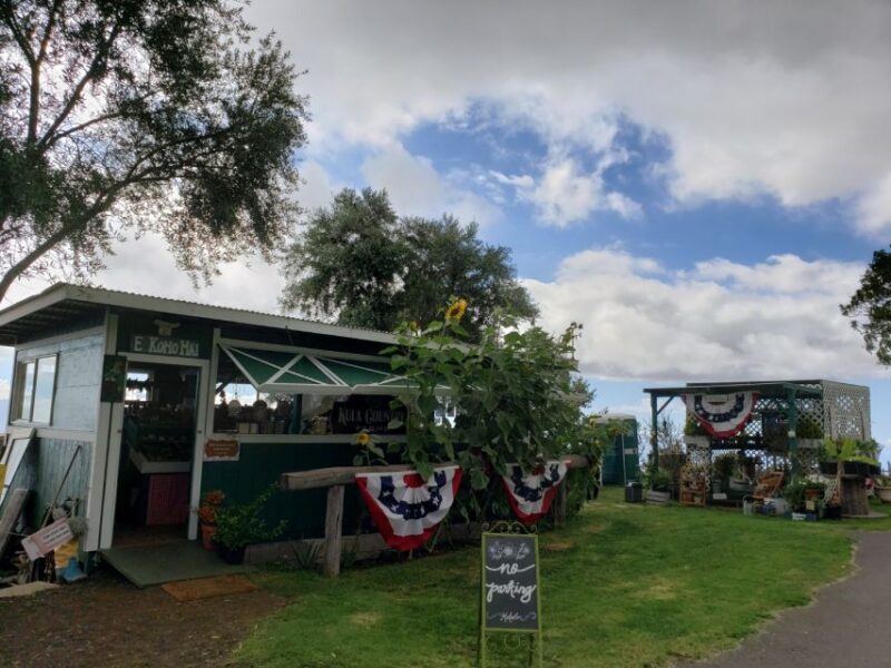 Maui: Road to Hana Adventure with Breakfast & Lunch - The Authentic Experience: What You’ll Love