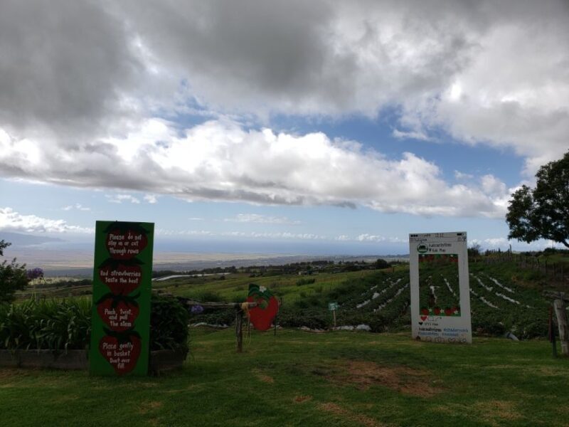 Maui: Road to Hana Adventure with Breakfast & Lunch - FAQ