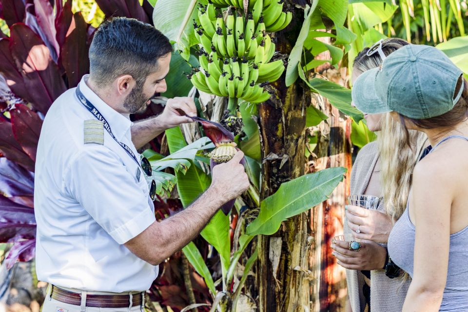 Maui: Road to Hana Helicopter & Waterfall Tour With Landing - Frequently Asked Questions