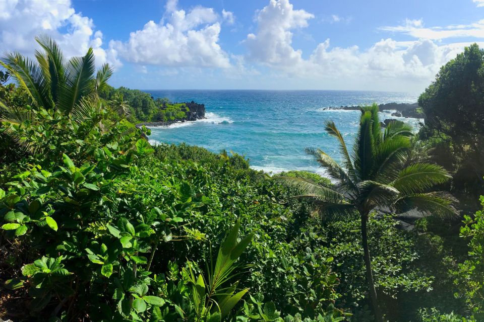 Maui Road to Hana Sightseeing Tour - Included in the Tour