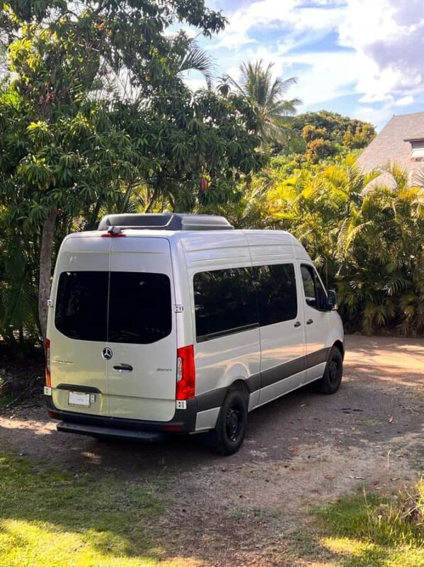 Maui Sea Turtles & Waterfalls: Full-Day Road to Hana Tour - An In-Depth Look at the Experience