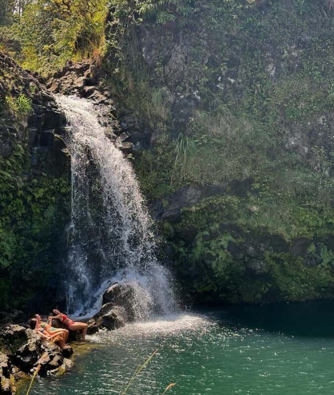 Maui Sea Turtles & Waterfalls: Full-Day Road to Hana Tour - Pricing and Value