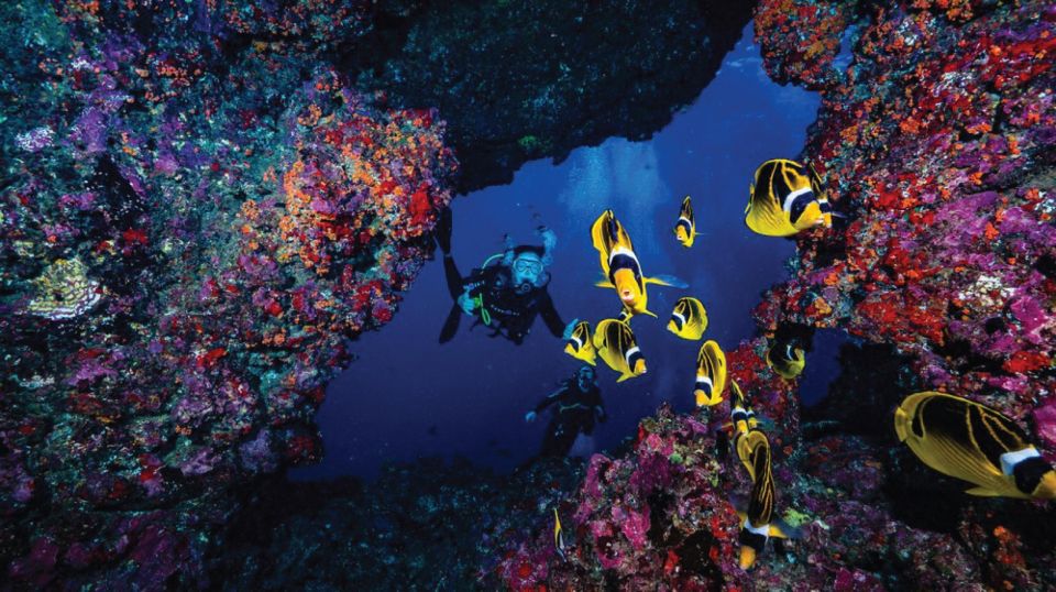 Maui: Small Group 2-Tank Lanai Cathedrals SCUBA Dive by Boat - Frequently Asked Questions