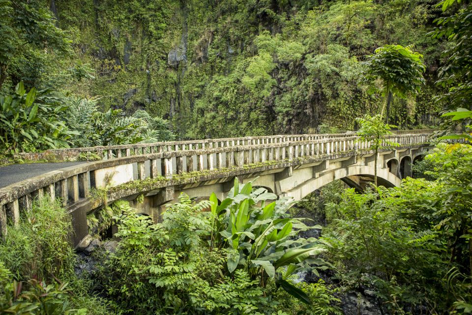 Maui: Small-Group Road to Hāna Sightseeing Tour - Beach and Waterfall Stops