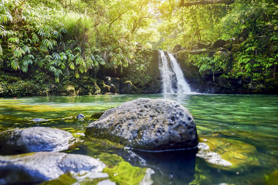 Maui: Small-Group Road to Hāna Sightseeing Tour - Participant Considerations