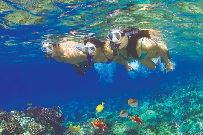 Maui Snorkel and Sunset Sail - Maui Snorkel and Sunset Sail Review: An Ocean Adventure for All