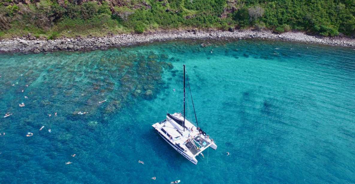 Maui: Snorkeling and Sailing Adventure With Buffet Lunch - Endangered Hawaiian Green Sea Turtle