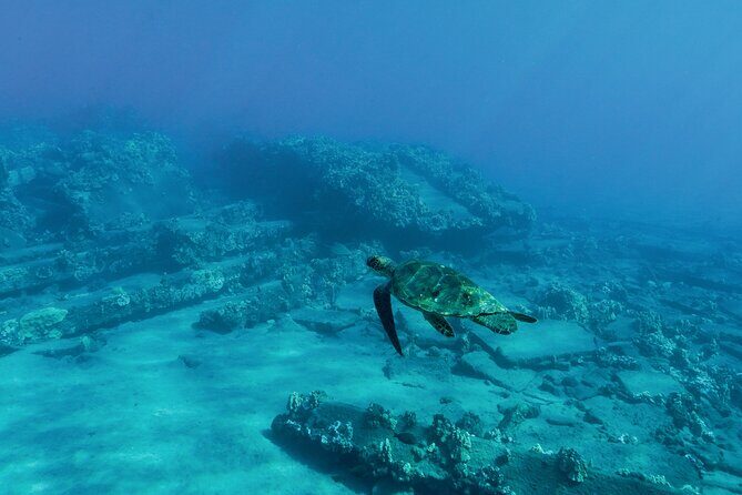 Maui Snorkeling Boat Tour to Turtle Town Aboard Quicksilver - Setting Sail for Maui’s Marine Life