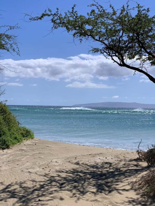 Maui: Stand-Up Paddleboard Rental - The Experience in Details