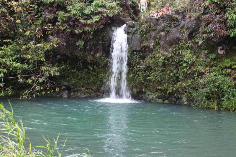 Maui: The Ultimate Road to Hana Slingshot Adventure Tour - Stop Highlights along the Route