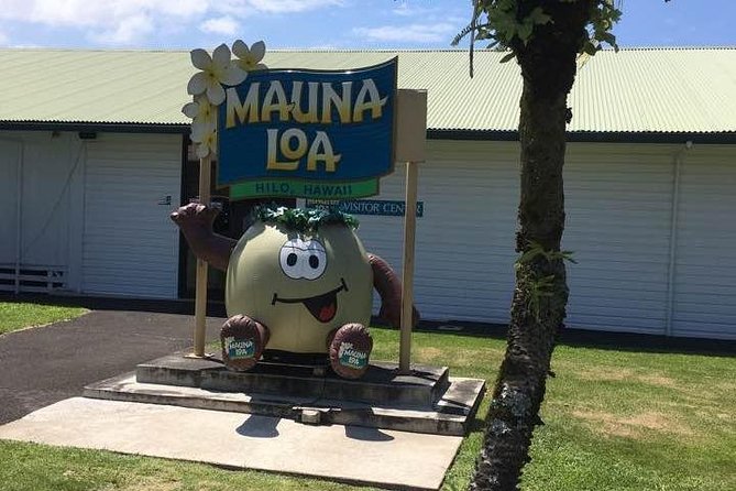 Maui to Big Island : Big Island Volcano Helicopter Tour & Ground Tour - Things To Known