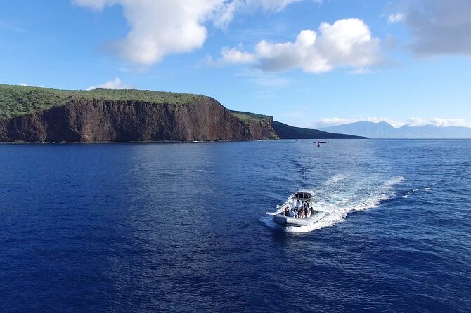 Maui to Lanai Semi-Private Eco Raft Snorkel & Dolphin Tour - Good To Know
