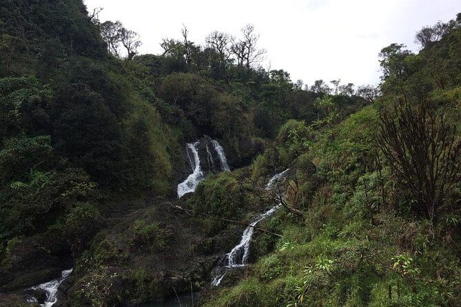 Maui Tour : Road to Hana Day Trip from Lahaina with Pick-up - Wrapping It Up: Who Should Consider This Tour?