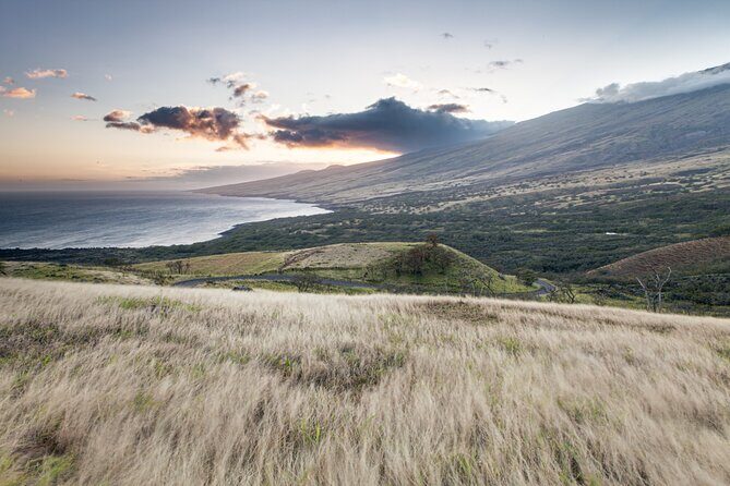 Maui Upcountry Drive, Haleakala NP & Ocean Vodka Distillery Tour - The Itinerary: What to Expect at Each Spot