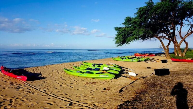 Maui: West Side Discovery Kayak & Snorkel from UKUMEHAME - Exploring Maui’s West Coast: Kayak & Snorkel Adventure from Ukumehame