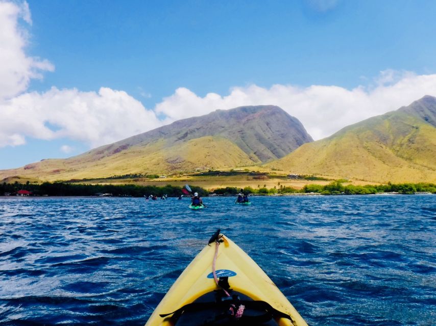 Maui: West Side Discovery Kayak & Snorkel From UKUMEHAME - Recap