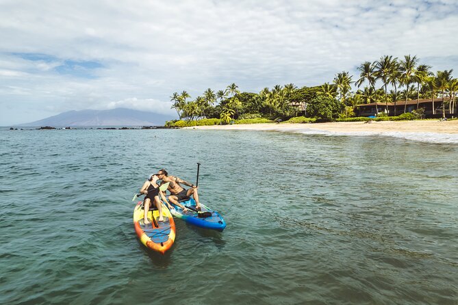 Maui'S ONLY Electric Powered Kayak & SUP Hybrid Rentals. - Good To Know