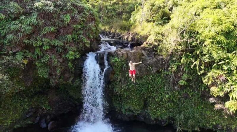Maui's Sea Turtle & Waterfalls: Taste of Hana Guided Tour - The Itinerary: What You Can Expect
