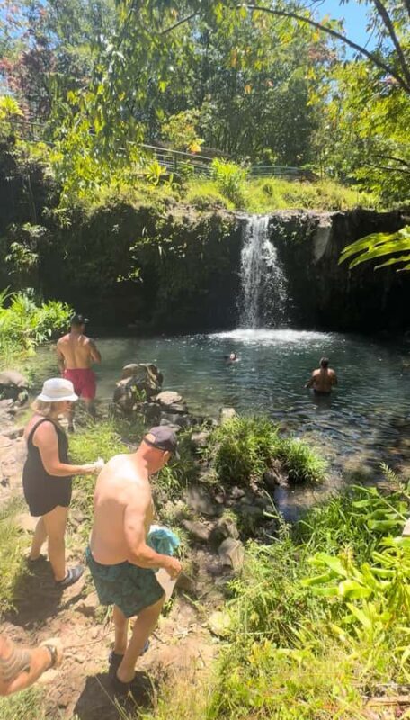 Maui's Sea Turtle & Waterfalls: Taste of Hana Guided Tour - How Do Visitors Feel About It?