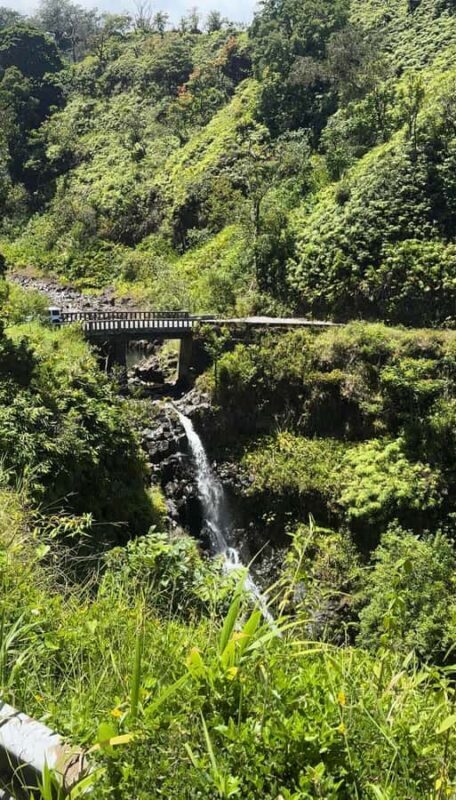 Maui's Sea Turtle & Waterfalls: Taste of Hana Guided Tour - Who Should Consider This Tour?