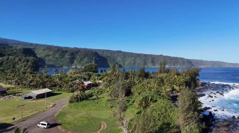 Maui's Sea Turtle & Waterfalls: Taste of Hana Guided Tour - FAQ: Your Practical Questions Answered