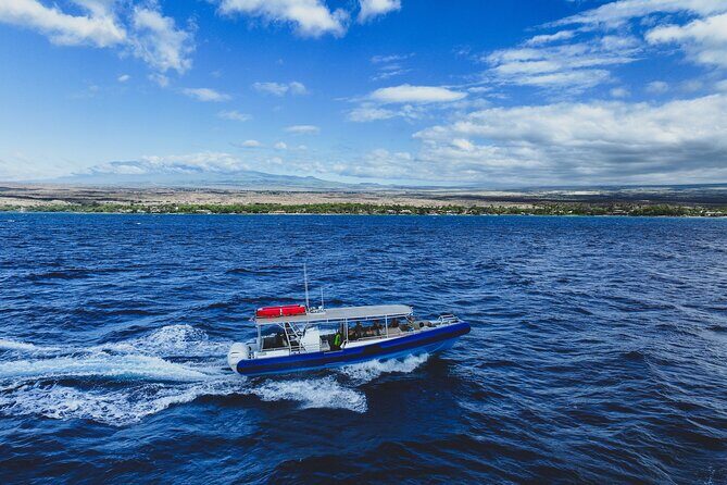 Mauna Kea 2hr One Stop Sealife Snorkel Adventure - Authentic Marine Encounters: Insights from Reviews