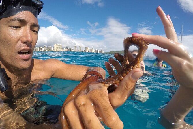Mauna Kea 2hr One Stop Sealife Snorkel Adventure - Analyzing Value for Money