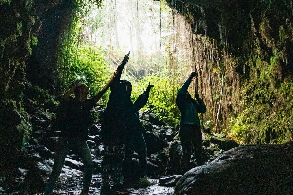 Mauna Kea: Stellar Explorer Tour From Hilo - Group Size and Language