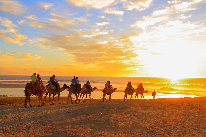 Maverick and RZR in the Beach and Desserts from Los Cabos - An In-Depth Look at the Experience