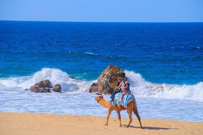 Maverick and RZR in the Beach and Desserts from Los Cabos - The Sum Up: Who Is This Tour For?