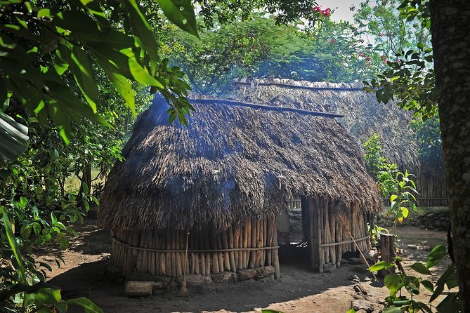 Mayan Backroads Private Bike Tour From Tulum - Visiting Punta Laguna Nature Reserve