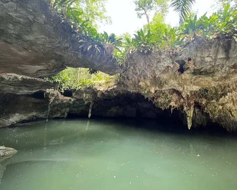 Mayan Journey  ATV Adventure in Cozumel - Who Should Consider This Tour?