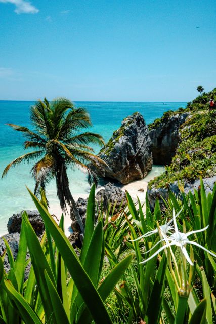 Mayan Tour 4x1: Tulum, Cobá, Cenote & Playa Del Carmen - Lunch and Shopping