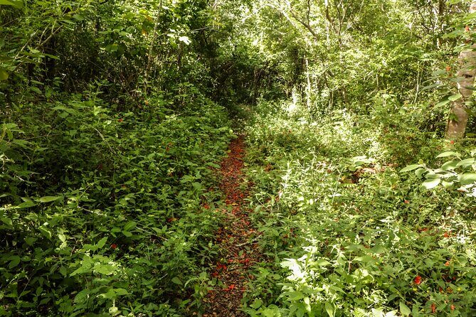 Mayan Trail: Ek Balam, Sacred Cenote and Local Food - A Closer Look at the Itinerary