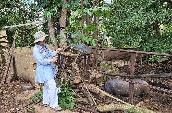 Mayas of Yesterday & Today: Tekit + Mayapan - FAQs