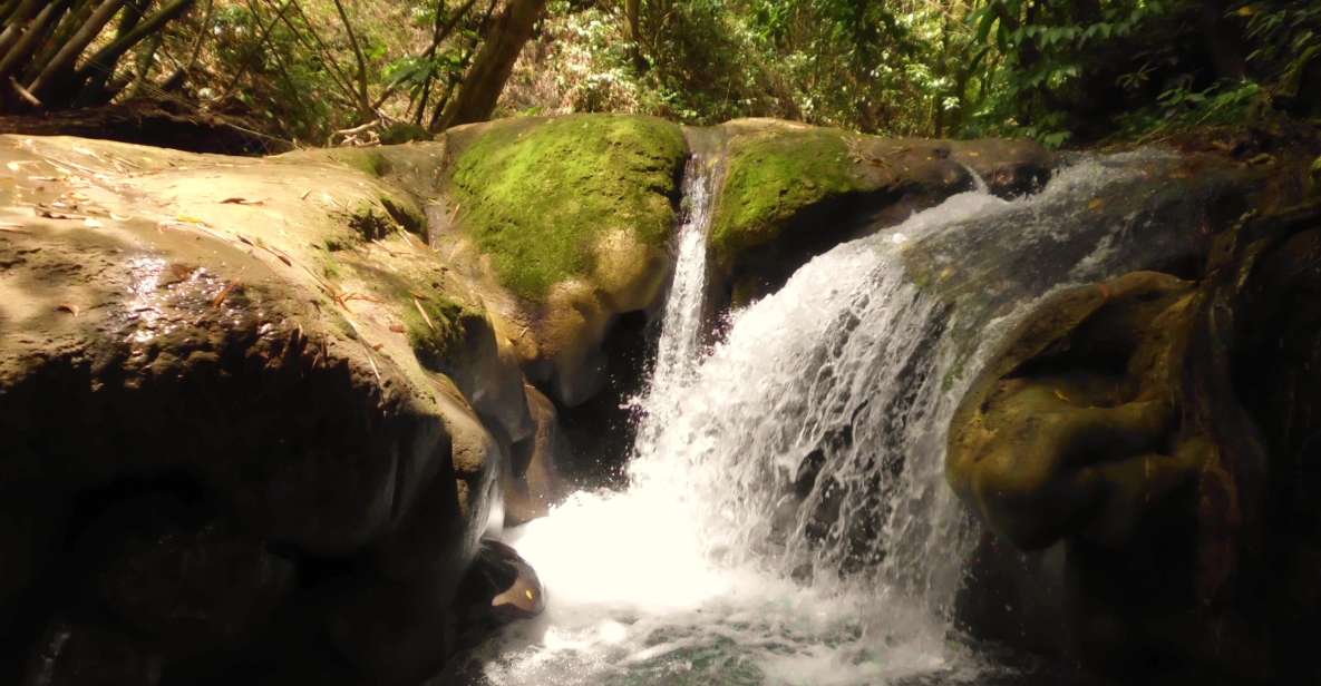 Mayfield Falls and Ricks Café Tour With Transportation - Ricks Café Attractions