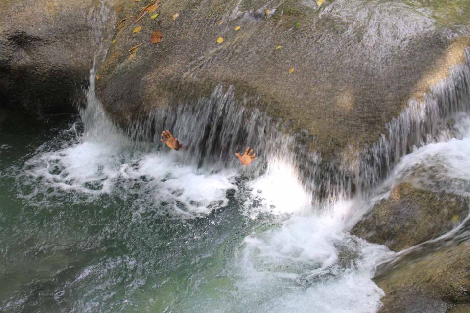Mayfield Falls and Ricks Café Tour With Transportation - Cancellation and Refund Policy