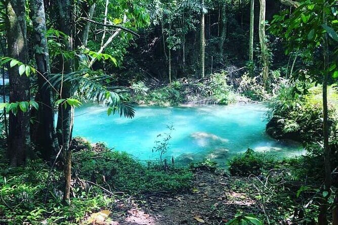 Mayfield Falls, Blue Hole & Rick's Café Tours/Weed Farm option - FAQs