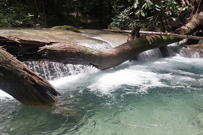 Mayfield Falls nature walk - Final Thoughts: Is It Worth It?