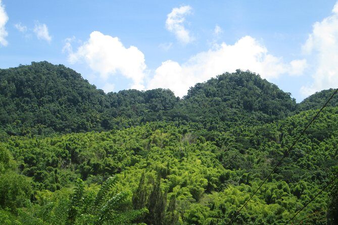 Mayfield Falls nature walk & Negril Hi-light Ricks Cafe - The Scenic Drive to Negril’s Seven Mile Beach