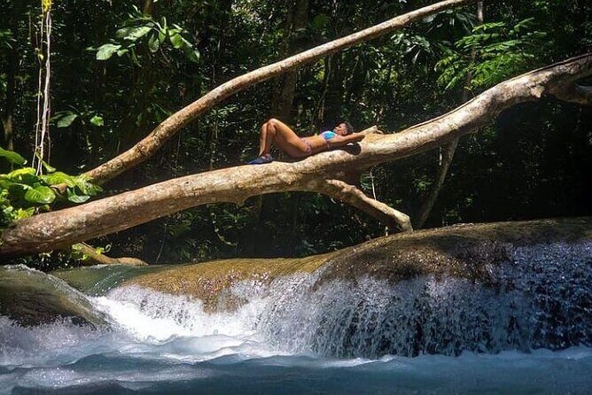 Mayfield Falls Tour with Lunch, drink, Entry & Transp(Original) - The Sum Up: Who Will Love This Tour