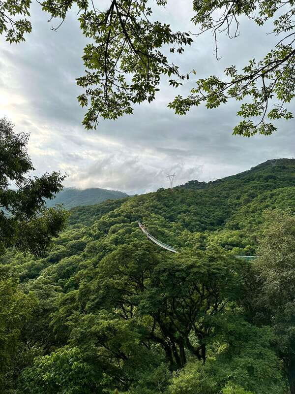 Mazamitla tour from Guadalajara visiting Mundo Aventura - The Practicalities: Transportation, Cost, and Group Size