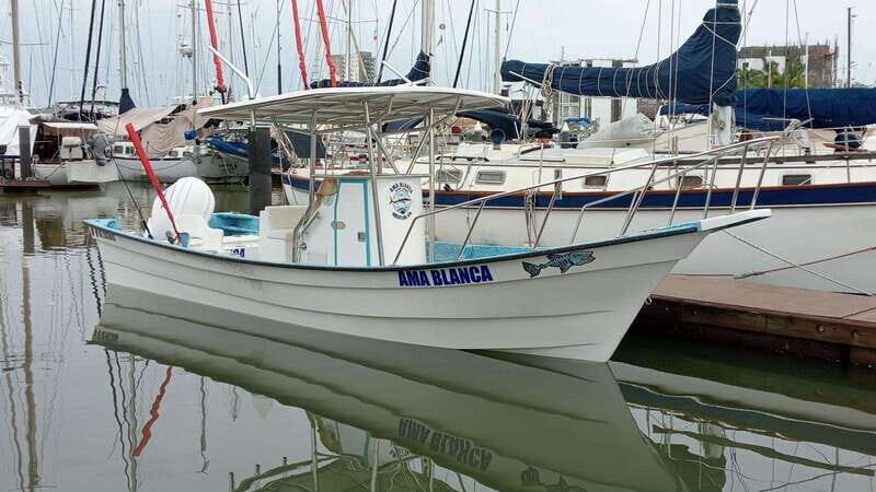 Mazatlan 3 Islands Snorkeling and Bird Watching Tour - Final Thoughts: Is it Worth It?