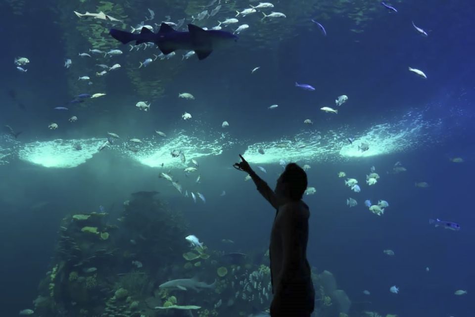 Mazatlan: Grand Aquarium Ticket and City Sightseeing Tour - Aquarium Highlights